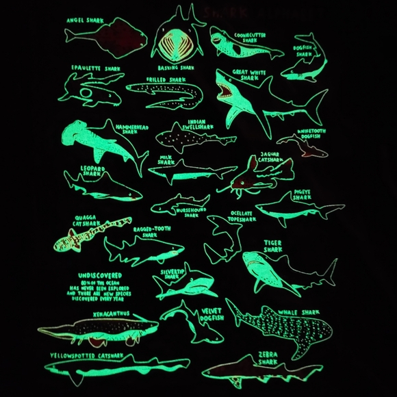 Mini Boden Other - NWT GITD shark tee